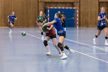 Bild 268 - F HSG Kremperheide/Muensterdorf - HSG Holstein Kiel/Kronshagen : Ergebnis: 31:26